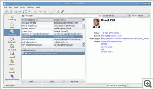 Kontact & remote address book